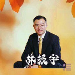 林振宇